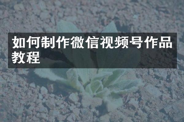 如何制作微信视频号作品教程