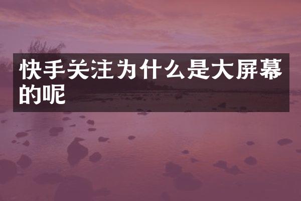 快手关注为什么是大屏幕的呢