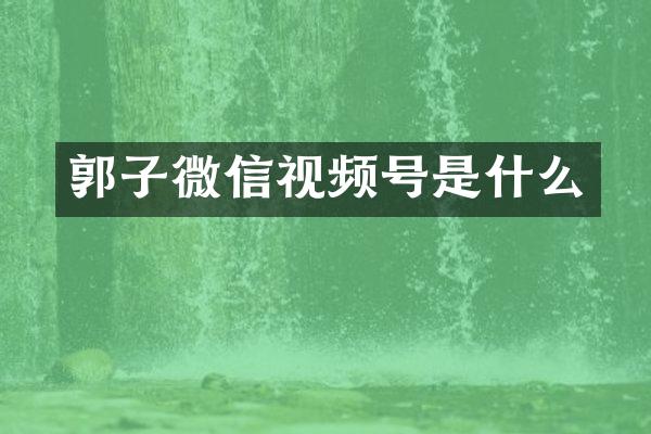 郭子微信视频号是什么