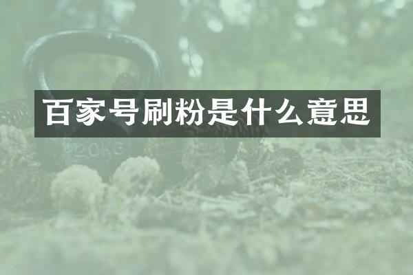 百家号刷粉是什么意思