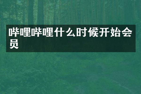 哔哩哔哩什么时候开始会员