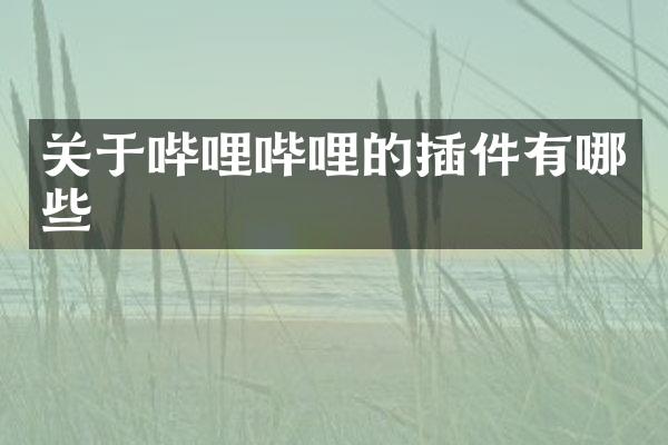 关于哔哩哔哩的插件有哪些