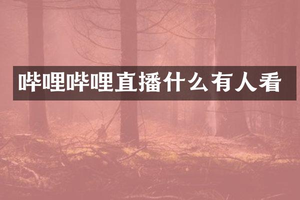 哔哩哔哩直播什么有人看