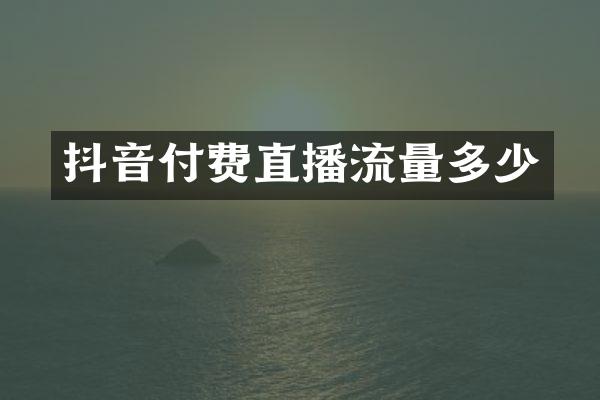抖音付费直播流量多少