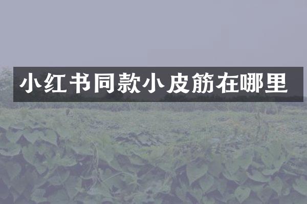 小红书同款小皮筋在哪里