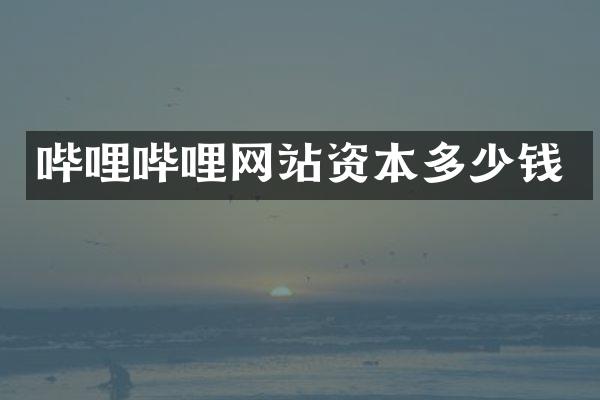 哔哩哔哩网站资本多少钱