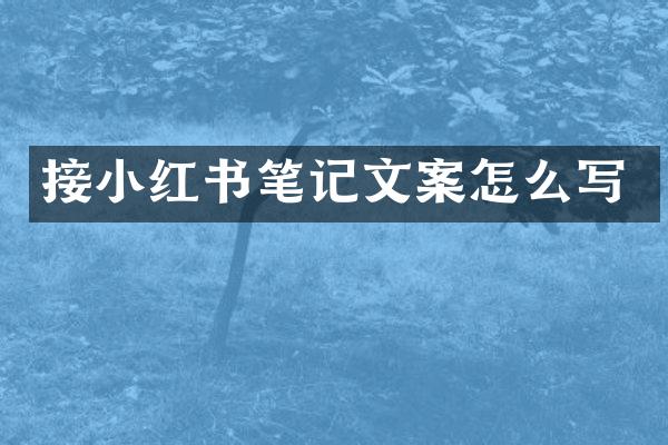 接小红书笔记文案怎么写