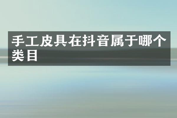 手工皮具在抖音属于哪个类目