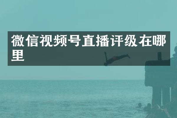 微信视频号直播评级在哪里