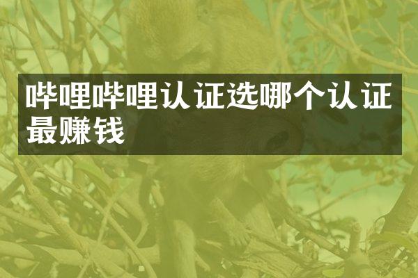 哔哩哔哩认证选哪个认证最赚钱