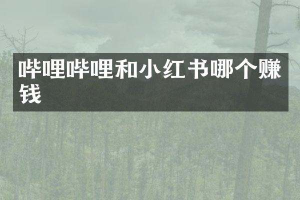 哔哩哔哩和小红书哪个赚钱