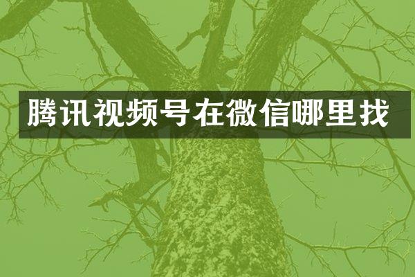 腾讯视频号在微信哪里找