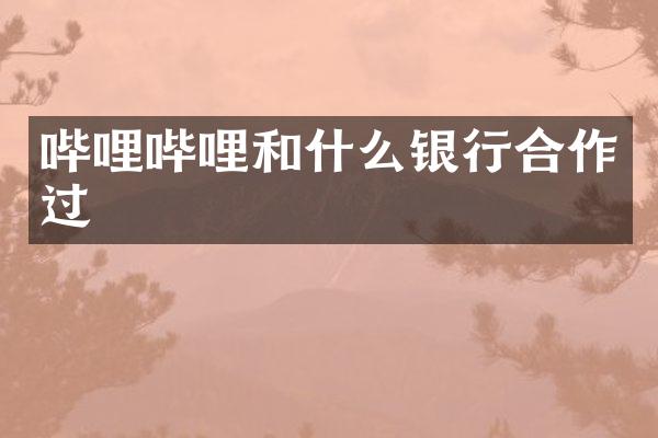 哔哩哔哩和什么银行合作过