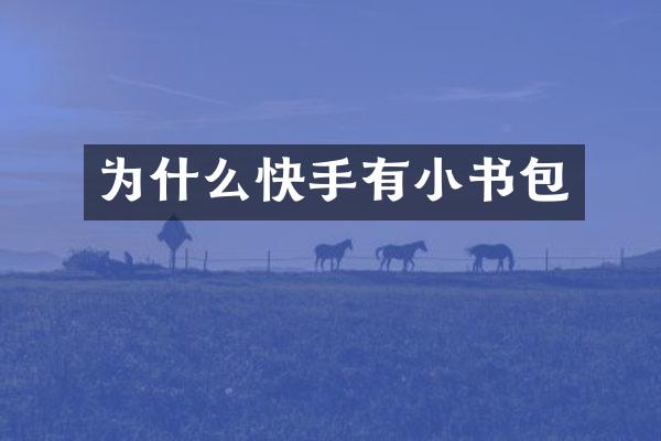 为什么快手有小书包