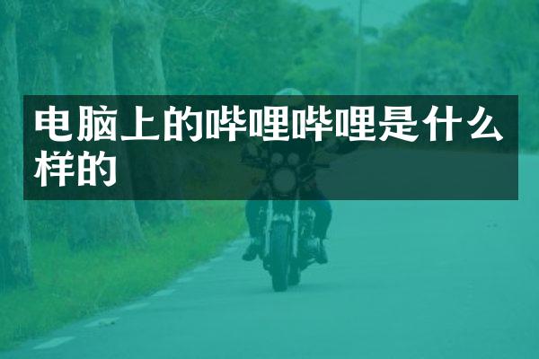 电脑上的哔哩哔哩是什么样的