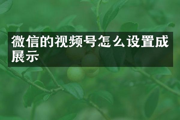 微信的视频号怎么设置成展示