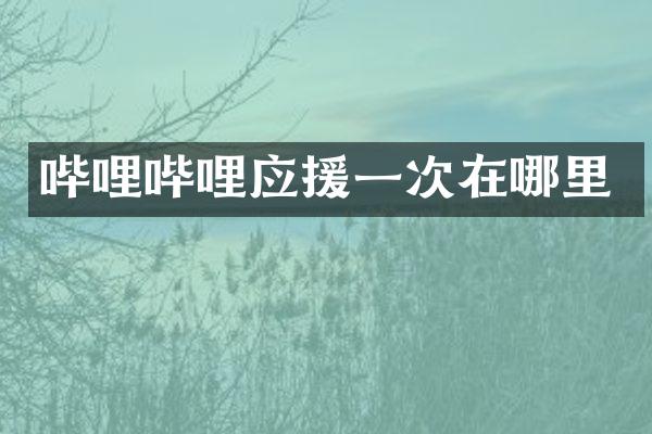 哔哩哔哩应援一次在哪里