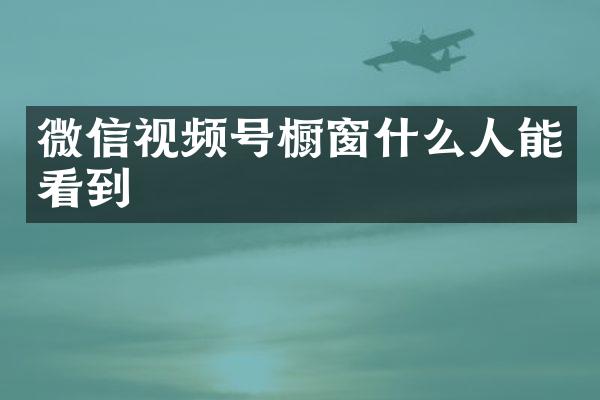 微信视频号橱窗什么人能看到