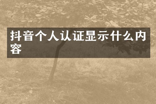 抖音个人认证显示什么内容