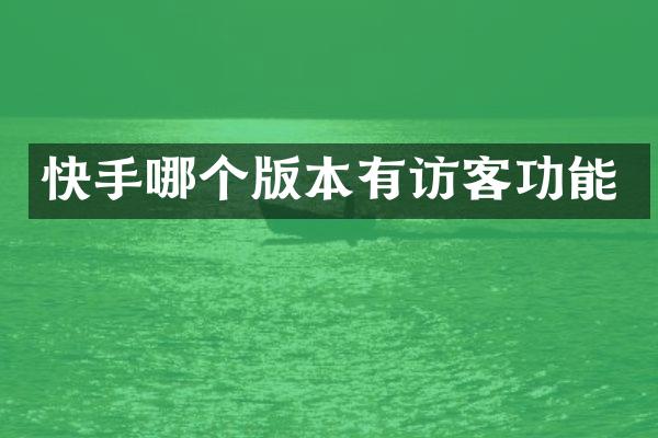 快手哪个版本有访客功能