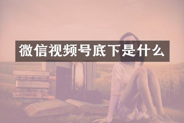 微信视频号底下是什么