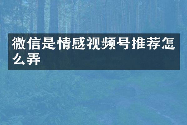 微信是情感视频号推荐怎么弄