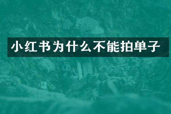 小红书为什么不能拍单子