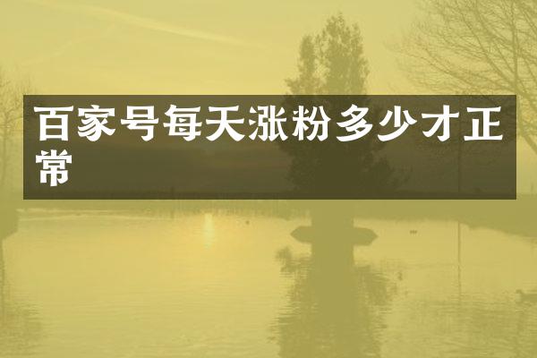 百家号每天涨粉多少才正常