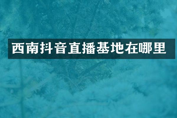 西南抖音直播基地在哪里