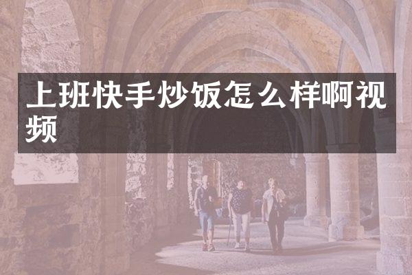 上班快手炒饭怎么样啊视频