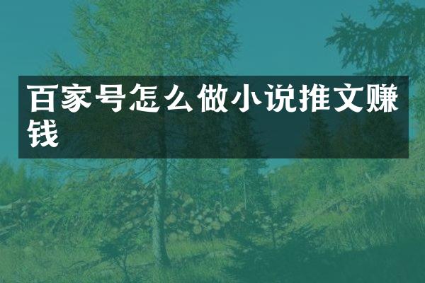 百家号怎么做小说推文赚钱