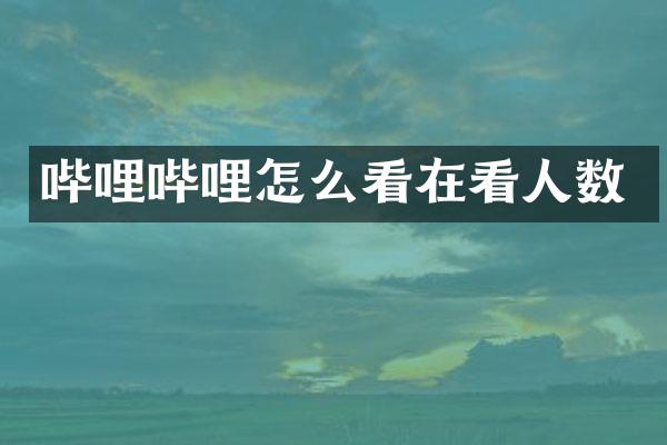 哔哩哔哩怎么看在看人数