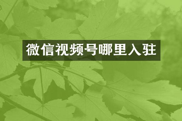 微信视频号哪里入驻