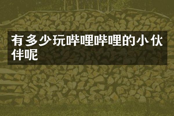 有多少玩哔哩哔哩的小伙伴呢