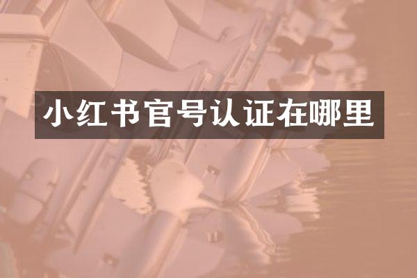 小红书官号认证在哪里