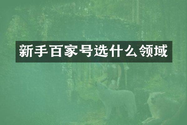 新手百家号选什么领域