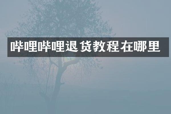 哔哩哔哩退货教程在哪里