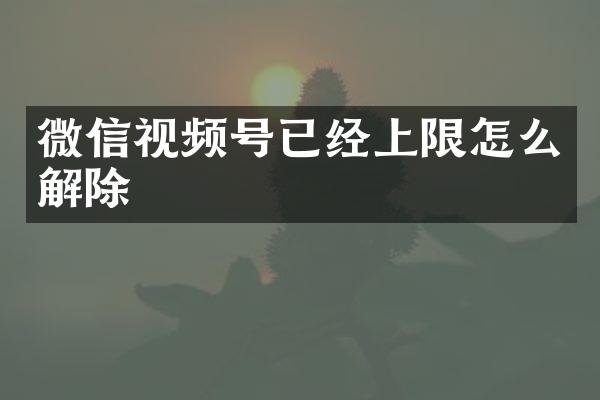 微信视频号已经上限怎么解除
