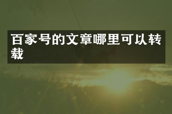 百家号的文章哪里可以转载