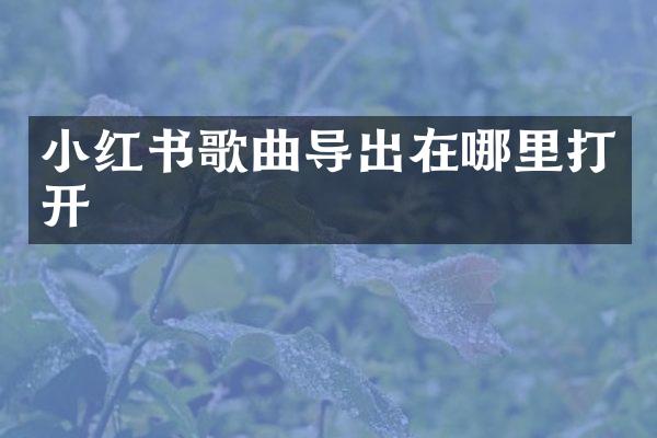 小红书歌曲导出在哪里打开
