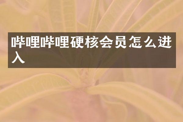 哔哩哔哩硬核会员怎么进入