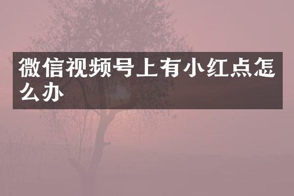微信视频号上有小红点怎么办