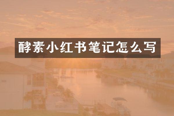 酵素小红书笔记怎么写