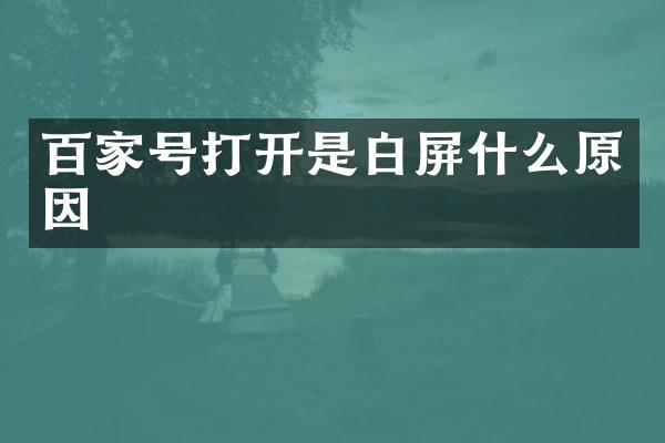 百家号打开是白屏什么原因