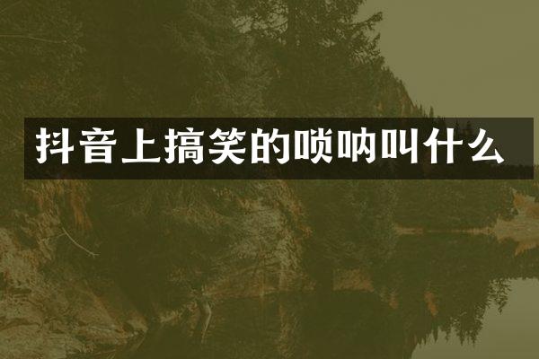 抖音上搞笑的唢呐叫什么