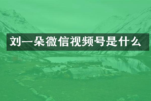 刘一朵微信视频号是什么