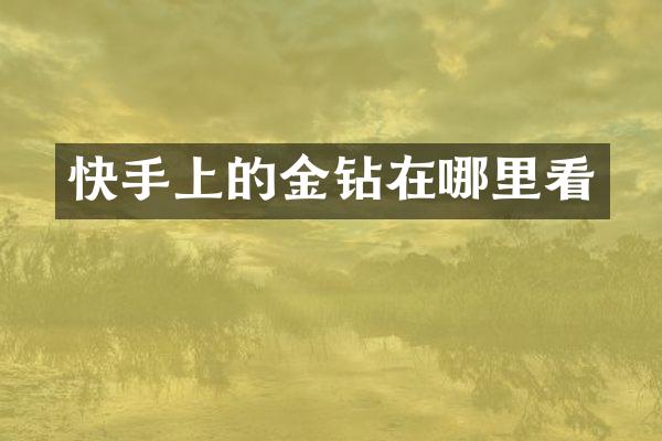 快手上的金钻在哪里看