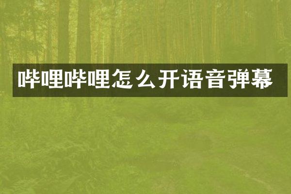 哔哩哔哩怎么开语音弹幕