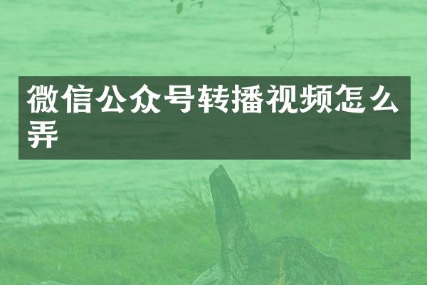 微信公众号转播视频怎么弄