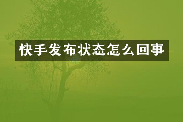 快手发布状态怎么回事